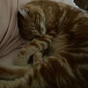 Meet your Posher, Nadia